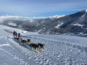 balade chien de traineau réallon